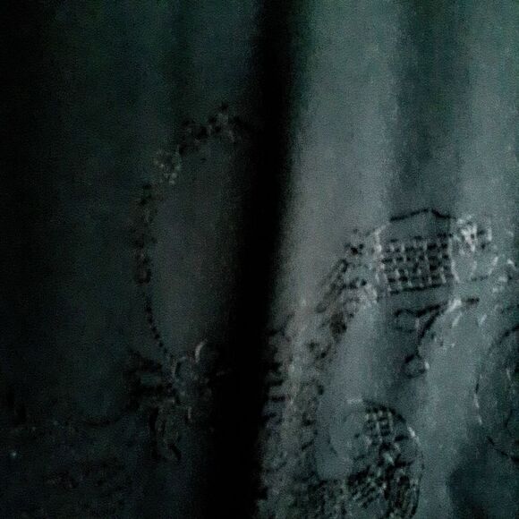 RW&CO Fun & Flirty Black Cotton Lined Embroidered Skirt EUC Size 8 - Picture 2 of 7